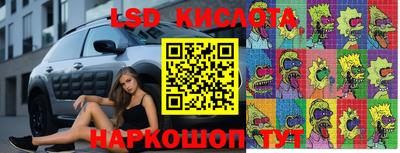 прущие грибы Пенза