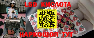 прущие грибы Пенза