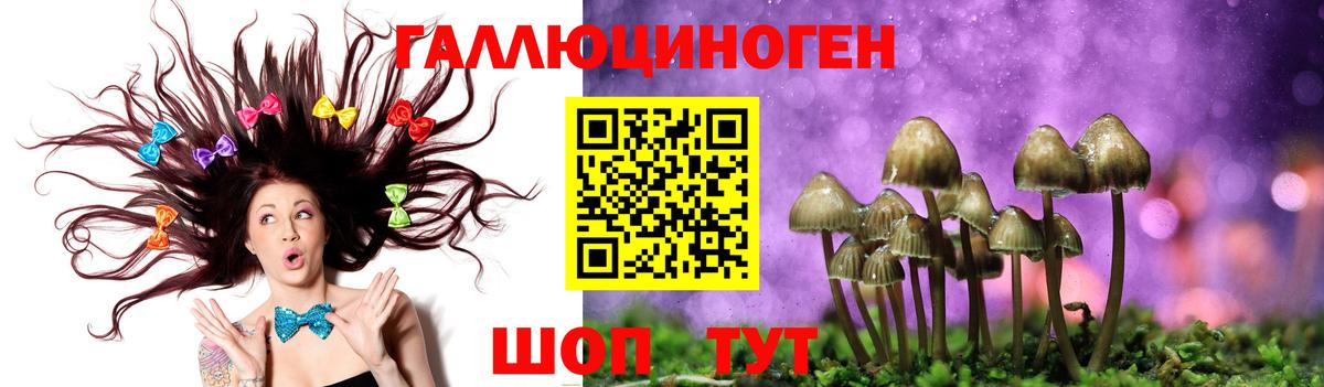 Псилоцибиновые грибы MAGIC MUSHROOMS Сергиев Посад